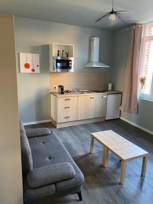 Cambrai:Magnifique Studio Esterno foto